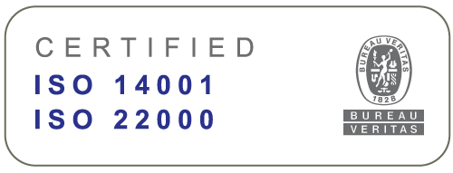 Iso logo 14001 22000