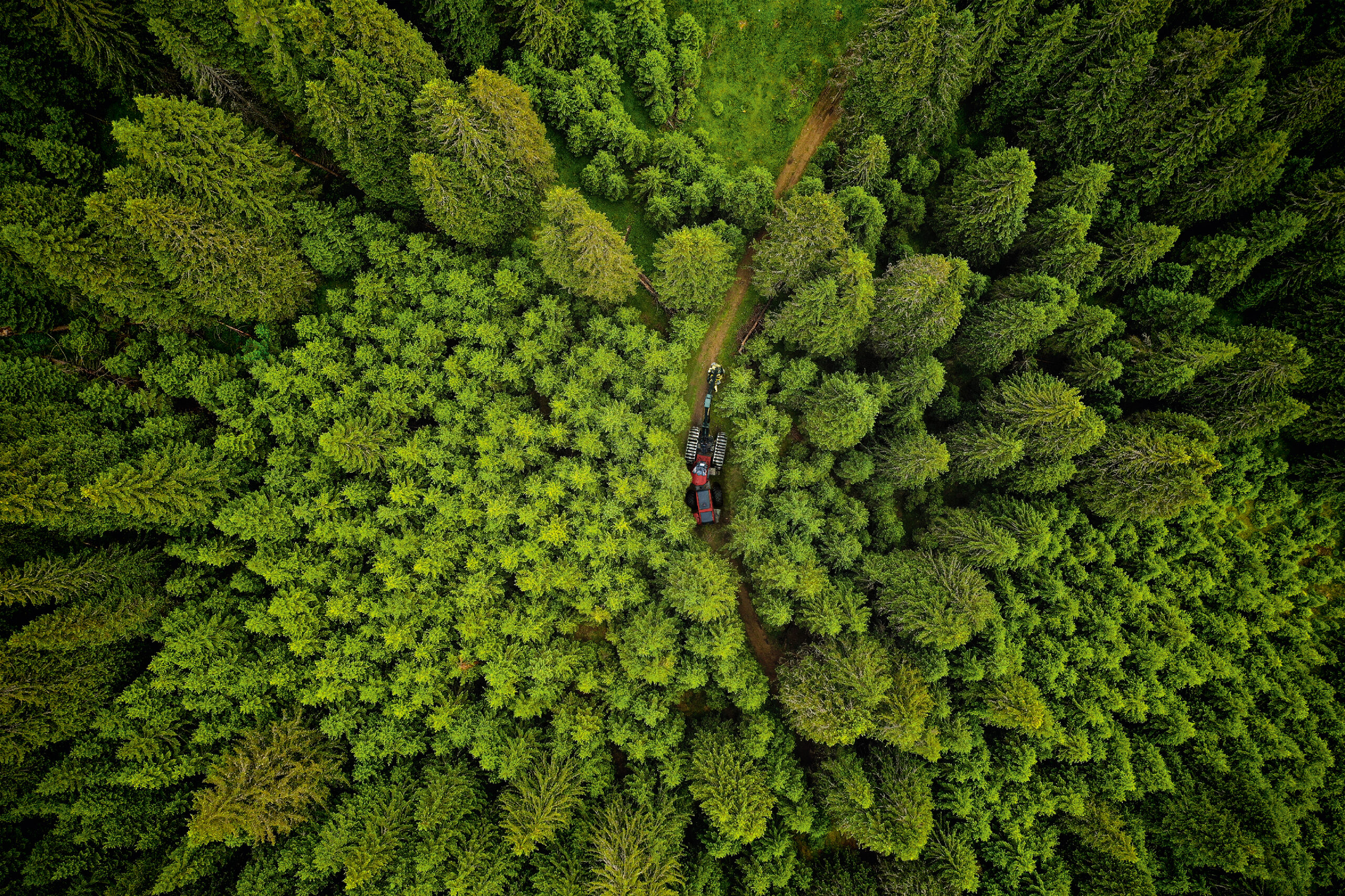 Forestry harvester operating in a Baltic forest with Shell PANOLIN biodegradable lubricants